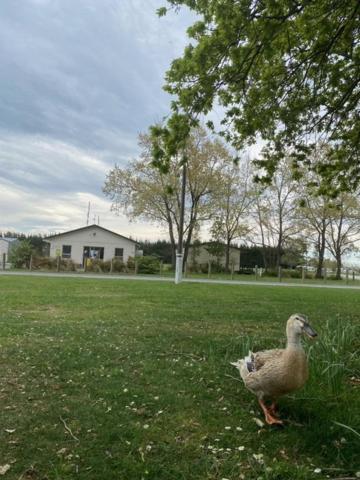 Ashburton Holiday Park Luaran gambar